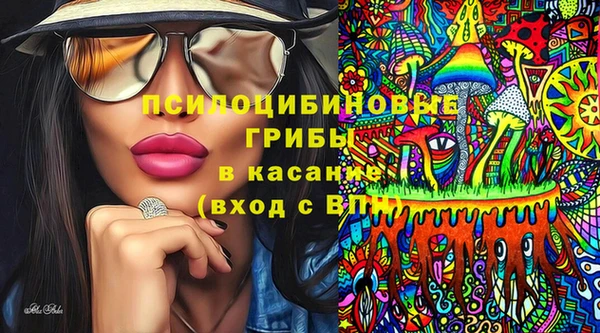 сатива Арсеньев