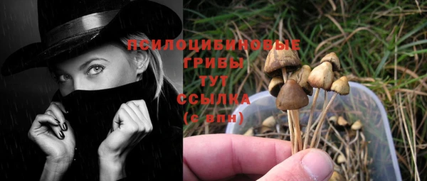 PSILOCYBIN Алексин