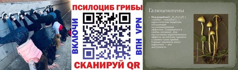 Купить где  Салаир  Галлюциногенные грибы Magic Shrooms 
